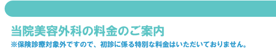 当院美容外科の診療料金のご案内