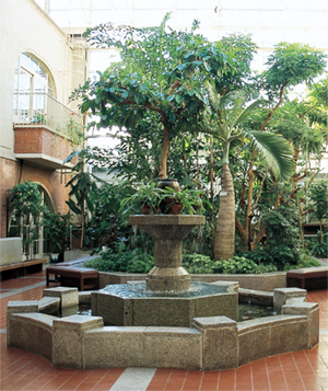 Botanical Atrium