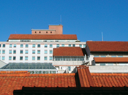 Red Tiled Roofing