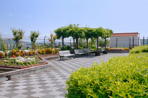 Ward Building 9 Rooftop Garden