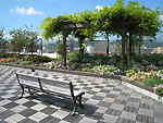 Ward Building 9 Rooftop Garden