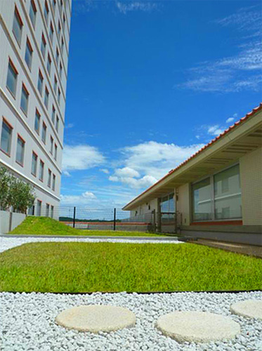 Ward Building 3 Rooftop Garden