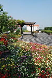 屋上庭園