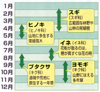 花粉飛散時期 画像