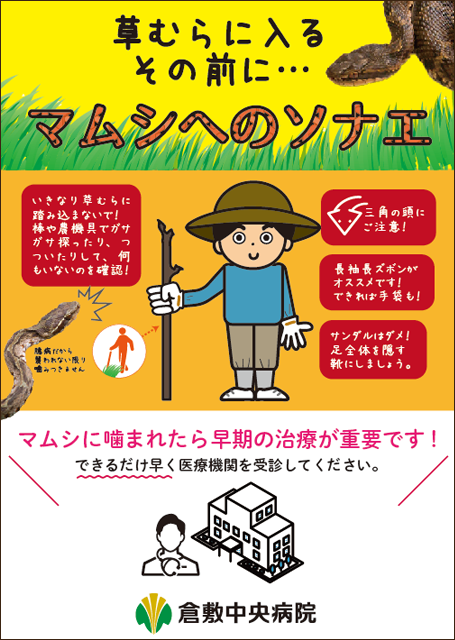 岡山県南西部にお住まいの皆様へ マムシに注意してください 倉敷中央病院