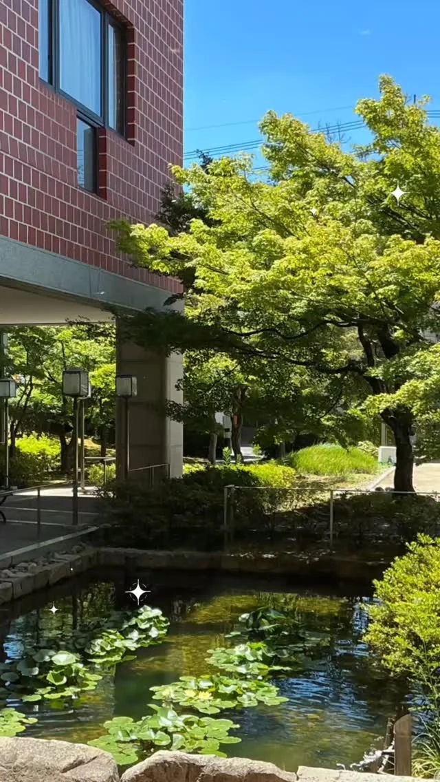 7月28日、29日にオープンスクールを開催しました。
たくさんの方にご参加いただきました。
ありがとうございました。
#倉敷中央看護専門学校 #倉敷中央病院 #予防医療プラザ #看護学生 #看護学校 #看護専門学校 #看護師 #オープンスクール #看護